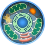 Logo of Cell World android Application 